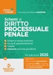 schemi diritto processuale penale