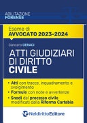 atti  giudiziari diritto civile