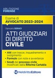 atti  giudiziari diritto civile