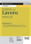 Codice del lavoro. Ediz. minore