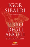 Libro degli angeli e dell'io celeste
