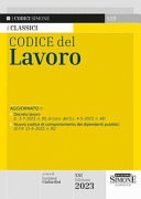 codice lavoro 