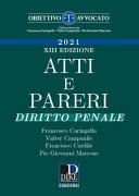 Atti e pareri di diritto penale