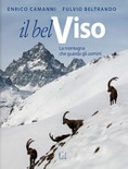 il bel viso