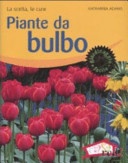 Piante da bulbo. La scelta, le cure