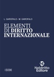 Elementi del diritto internazionale