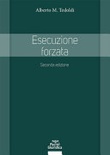 Esecuzione forzata