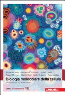 Biologia molecolare della cellula. Con e-book